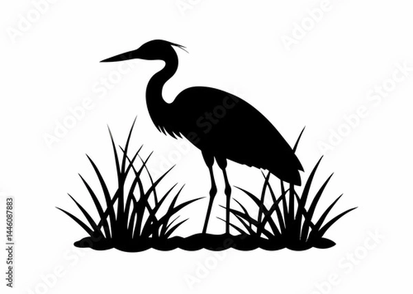 Fototapeta Black heron silhouette standing in a marsh with tall grass