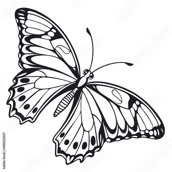 Fototapeta Detailed Butterfly Silhouette, Isolated. Delicate Wings with Intricate Black Outline