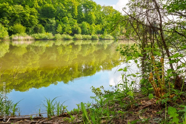 Fototapeta landscape with lake among forested hills in summer. serene weather. outdoor environment under blue sky for vacation or fishing. reflection of green scenery with deciduous trees in morning light