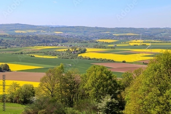 Obraz Landschaft mit blühenden Rapsfeldern