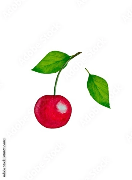 Fototapeta Set of ripe cherries with twig green leaves. Watercolor illustration on a white background, minimalist style.