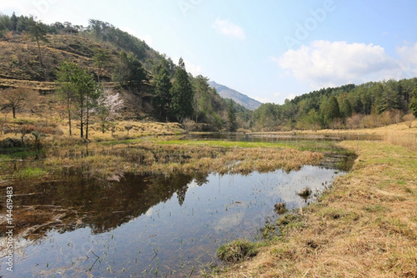 Fototapeta 徳島県三好市　黒沢湿原