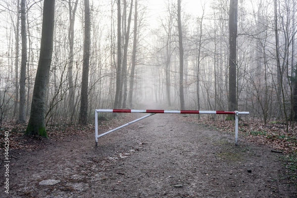 Obraz Waldweg gesperrt mit einer Schranke im Nebel