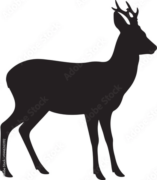 Obraz Roe Deer Vector Silhouette