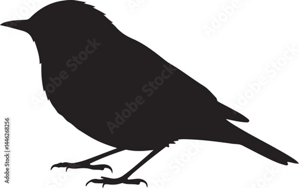 Fototapeta Warbler Vector Silhouette