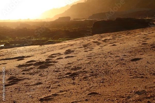 Fototapeta Wild ocean beach. A lonely panorama. A romantic view. Warm rays of light. Footprints in the sand. A colorful picture. A postcard. Wallpaper. Background