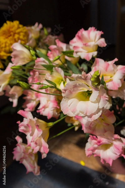Obraz Pink eustoma flowers