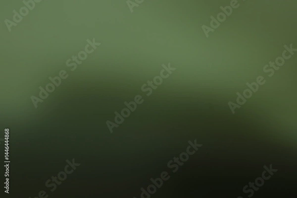 Obraz Solid Dark Olive Green Background Texture for Banners and Wallpapers