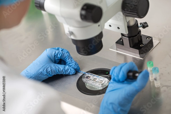 Obraz Checking result of in vitro fertilization