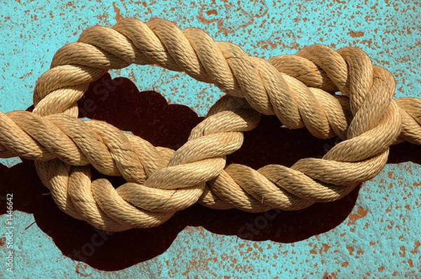 Obraz osiem węzłów