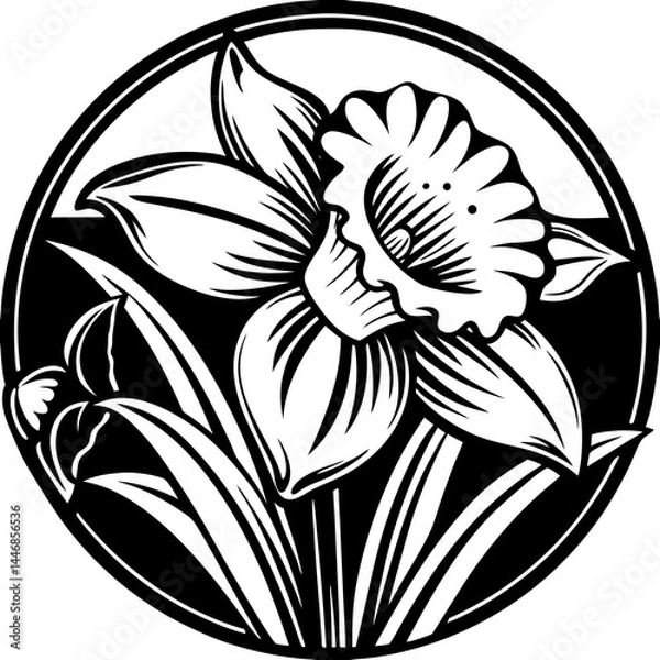 Obraz daffodil vector silhouette illustration svg