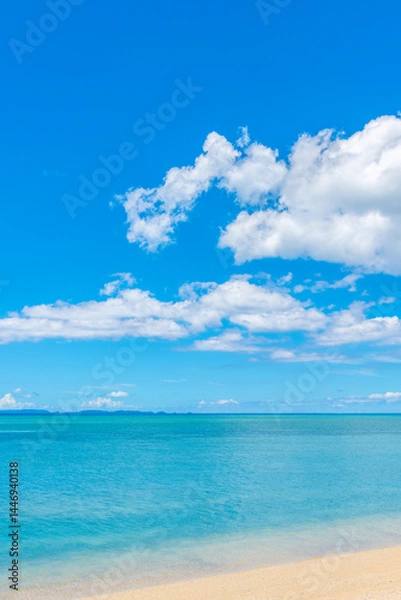 Fototapeta 沖縄の海