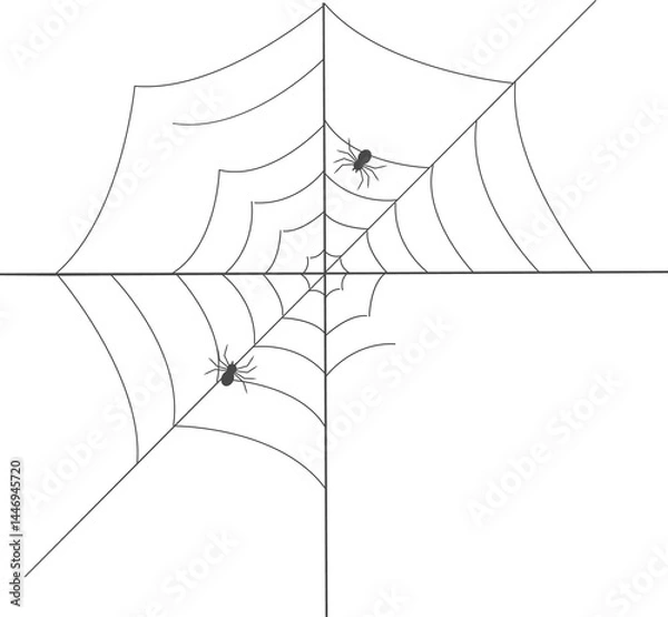 Fototapeta Simple spider with web illustration.