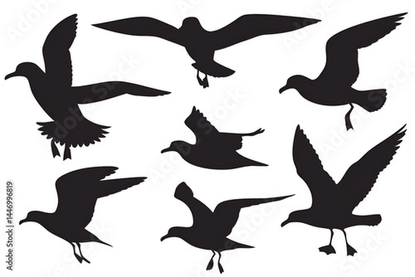 Fototapeta silhouettes of birds, Set of Silhouette of seagulls  