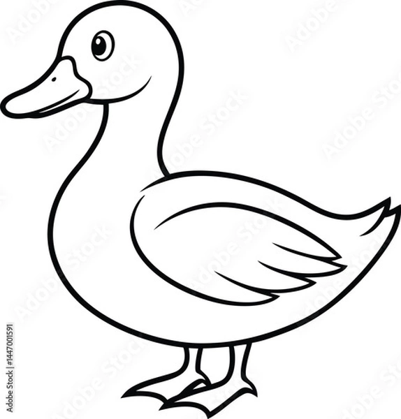 Obraz Black And white Duck Outline Graphic, Vector Livestock Drawing.