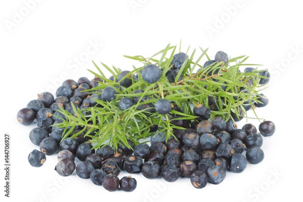 Fototapeta juniper berries isolated