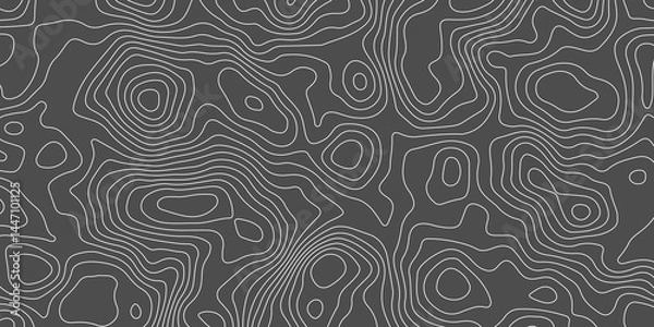 Fototapeta Topographic map background concept. Topo contour map. Rendering abstract illustration. Vector abstract illustration. Geography concept. paper texture design. Limited of a geographical map