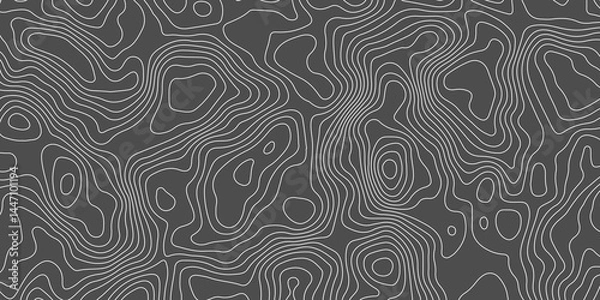 Fototapeta Topographic map background concept. Topo contour map. Rendering abstract illustration. Vector abstract illustration. Geography concept. paper texture design. Limited of a geographical map