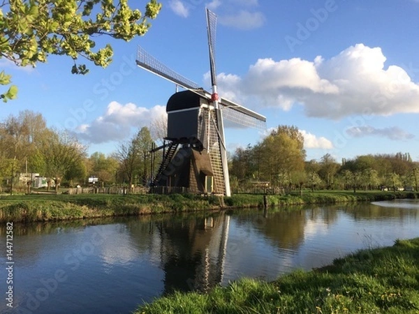 Fototapeta Dutch windmill with reflection in water