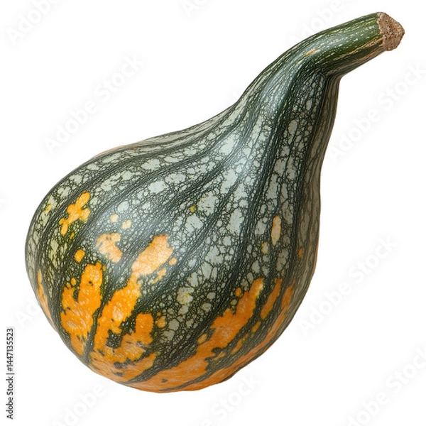 Obraz one piece ridge gourd top view full length isolated on transparent background. PNG