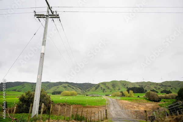 Fototapeta Power posts and power lines across the land. Sheep grazing on green farmland. Wind turbines on top of the hill. North Island. New Zealand.