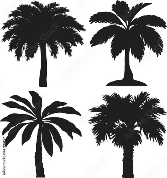 Fototapeta Silhouettes of Palm Trees – Black and White Tropical Vector Illustration Featuring Minimalist Island Flora, Botanical Outlines, Beach Symbols, and Exotic Travel Motif Design Elements