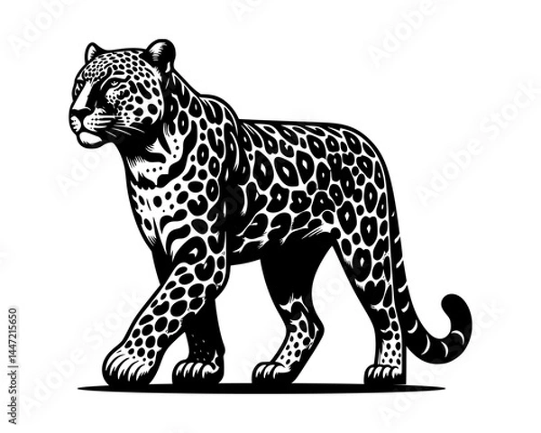 Fototapeta A black and white silhouette vector illustration of a leopard, isolated on a white background.
