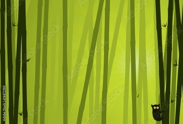 Fototapeta Bamboo Background. Nature Background Series.