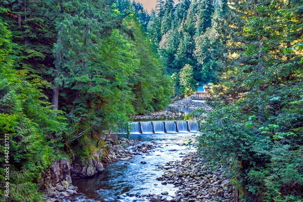 Fototapeta A small dam on the Capilano River in Capilano River Regional Park in North Vancouver. The mountain stream is surrounded by dense green forest