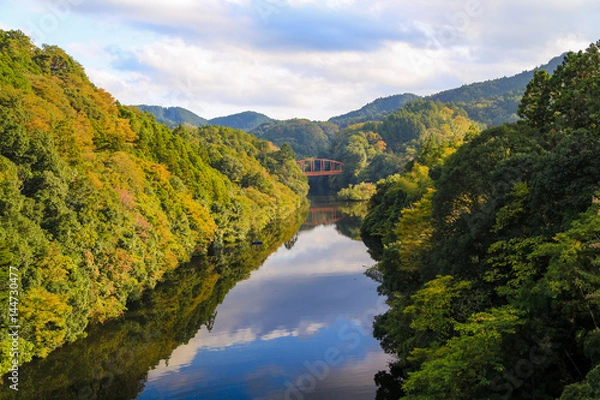 Obraz 色づきの亀山湖