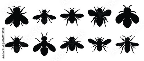 Obraz Collection of Various Bee Silhouettes Black and White Insects Icons
