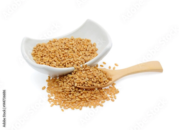 Fototapeta wheat grain isolated on white background