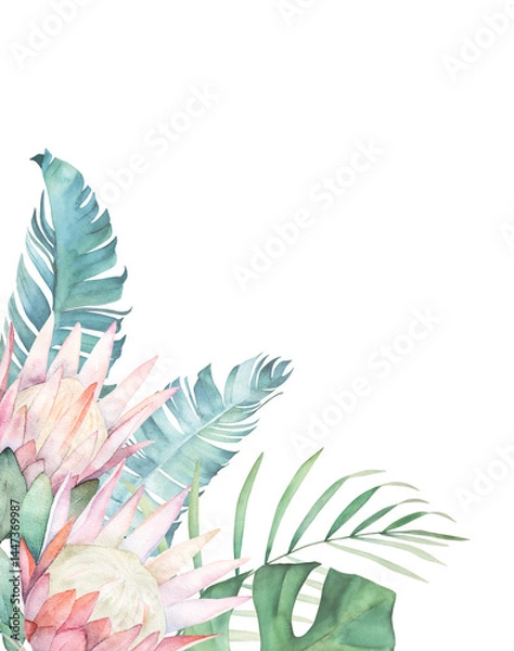 Fototapeta Watercolor floral card with palm leaves and protea. Hand drawn botanical illustration on white background