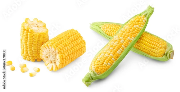 Fototapeta Fresh corn on cob isolated on white background. clipping path