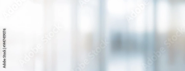 Fototapeta Abstract blurred background with white gray and blue tones soft light effect.
