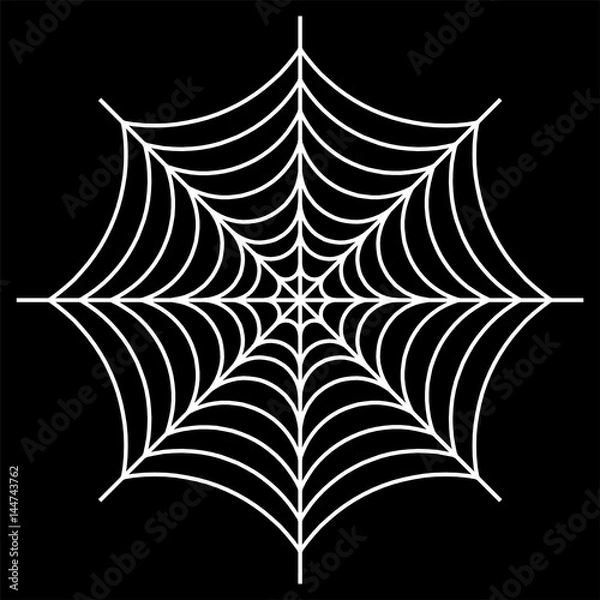 Obraz white spider web - Cobweb vector  on black background - illustration
