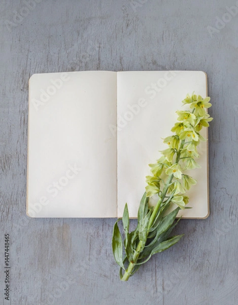 Fototapeta Delicate Fritillaria persica  'Alba' on an Open Book