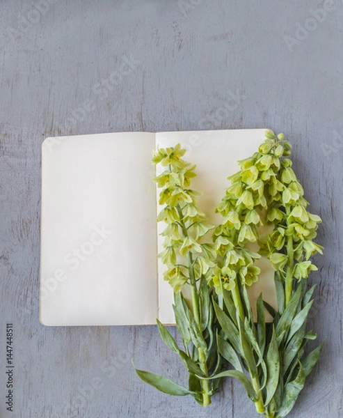 Fototapeta Delicate Fritillaria persica  'Alba' on an Open Book