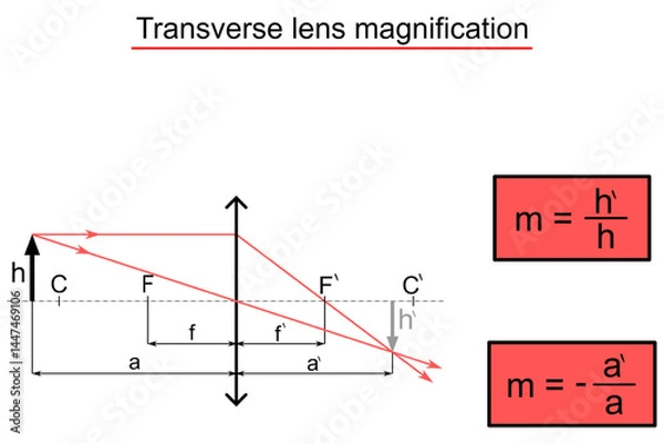 Obraz Transverse lens magnification - schematic image and equation in red box