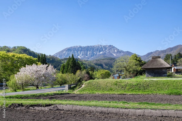 Obraz 大山の風景