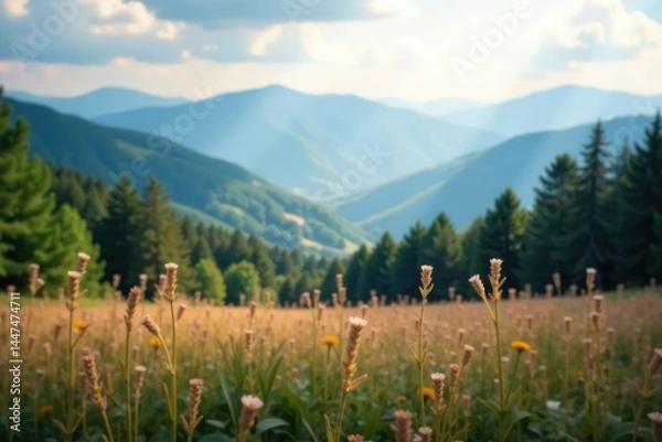 Obraz Subtle gradient, soft focus, blurred landscape, nature, graphic, landscape
