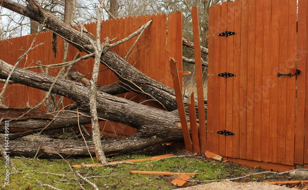 Fototapeta Fence Damaged From Tree Falling During Storm