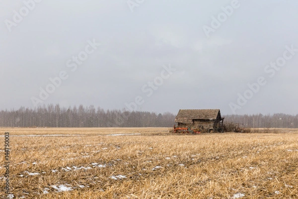 Obraz Snowing in the spring