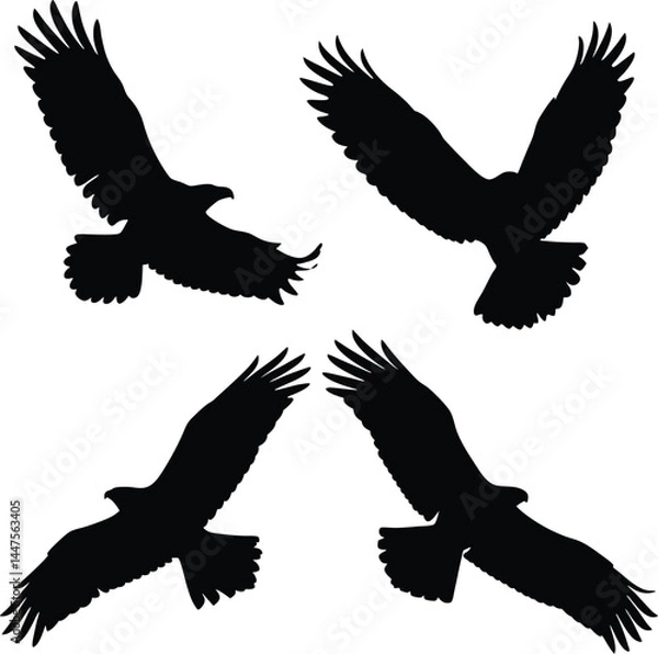 Fototapeta Black Silhouettes of Flying Ravens and Crows – Minimalist Vector Illustration Featuring Spread Wings, High Contrast Bird Flight Poses, Corvid Species, and Nature-Inspired Graphic Design