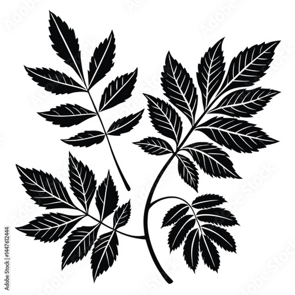 Obraz set of leaves
