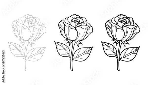 Obraz Line Art Rose Floral Outline for Creative Projects On White Background