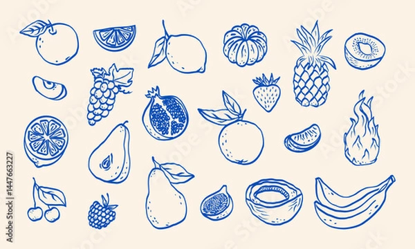 Obraz Minimalist hand drawn sketch fruits vector illustration. Natural tropical fruits. Dragon fruit, pineapple, coconut, citrus, banana, fig, apple, grape, lemon, banana, pomegranate, fig, strawberry.