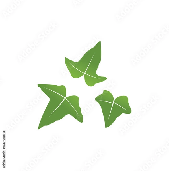 Fototapeta Green leaf ecology nature element vector icon, Leaf Icon, Green leaf ecology nature element vector