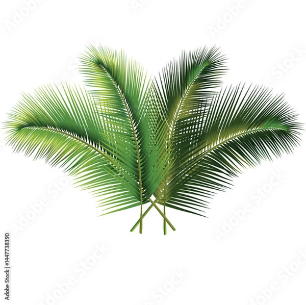 Fototapeta Elegant Tropical Palm Leaves in a Fan Arrangement with Lush Gradient Green Hues – Perfect for Nature, Eco Decor, and Wellness Branding