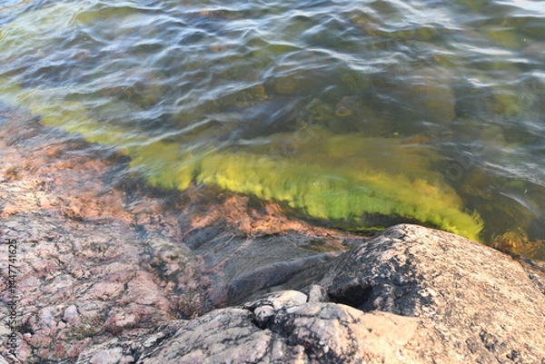 Fototapeta Rocky beach in the archipelago in Finland in summer